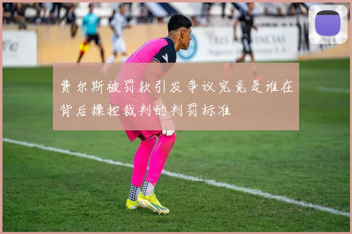 费尔斯被罚款引发争议究竟是谁在背后操控裁判的判罚标准